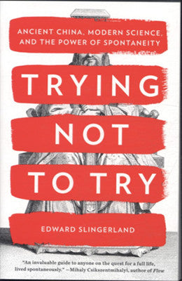 Toilet Paper Origami on a Roll